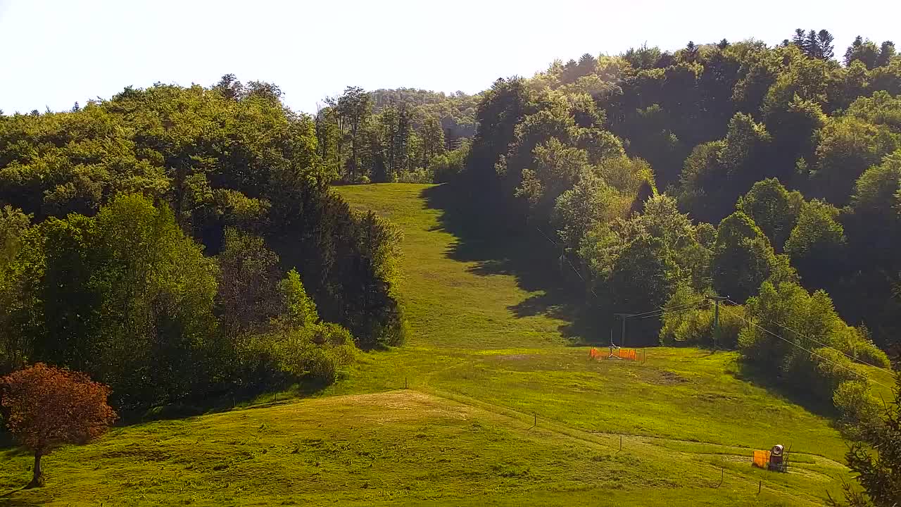 Webcam Loqua / Lokve – La bellezza della selva di Tarnova