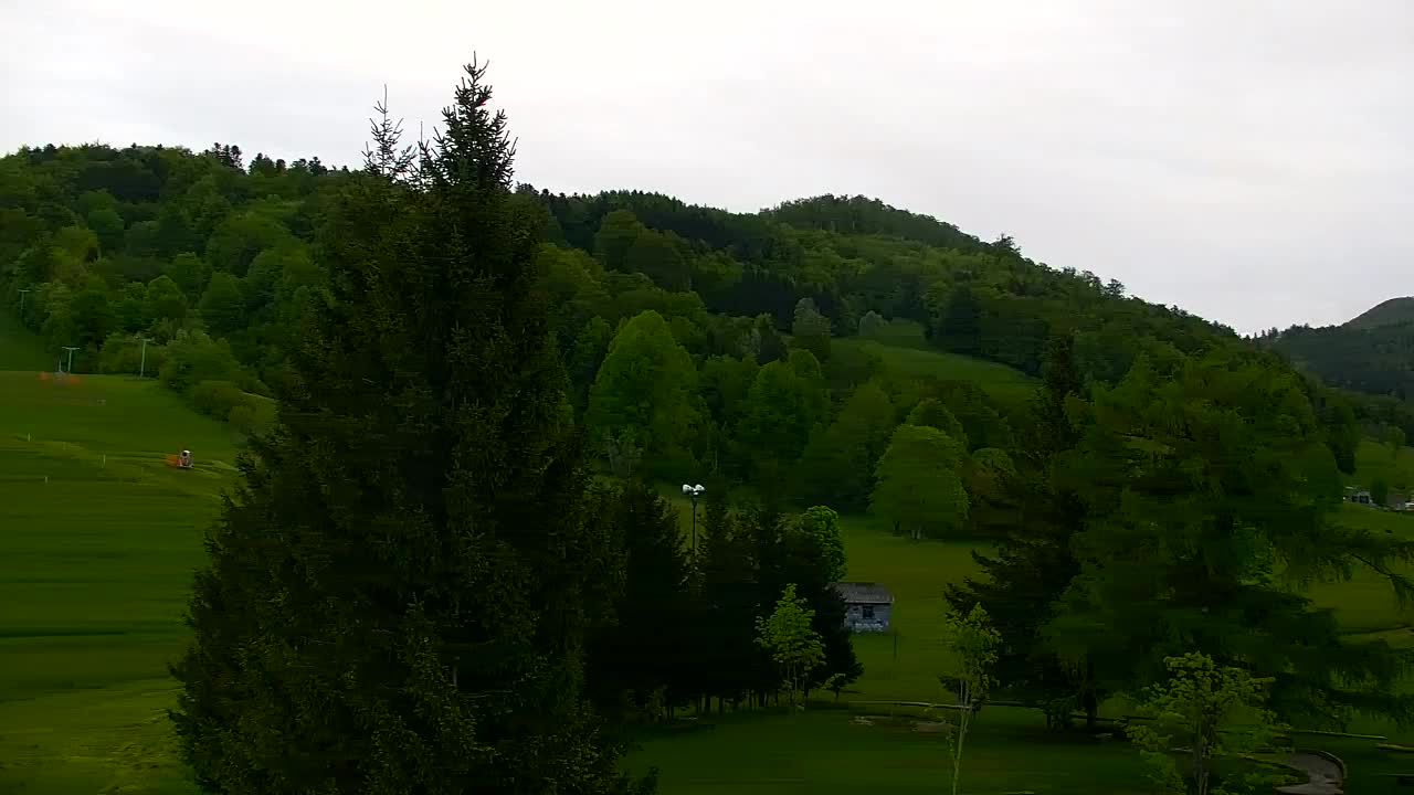 Webcam Loqua / Lokve – La bellezza della selva di Tarnova