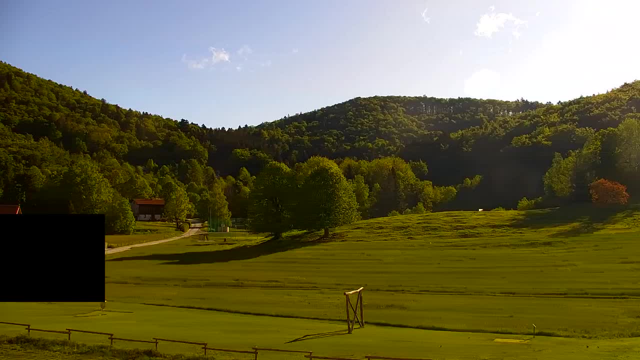 Webcam Loqua / Lokve – La bellezza della selva di Tarnova