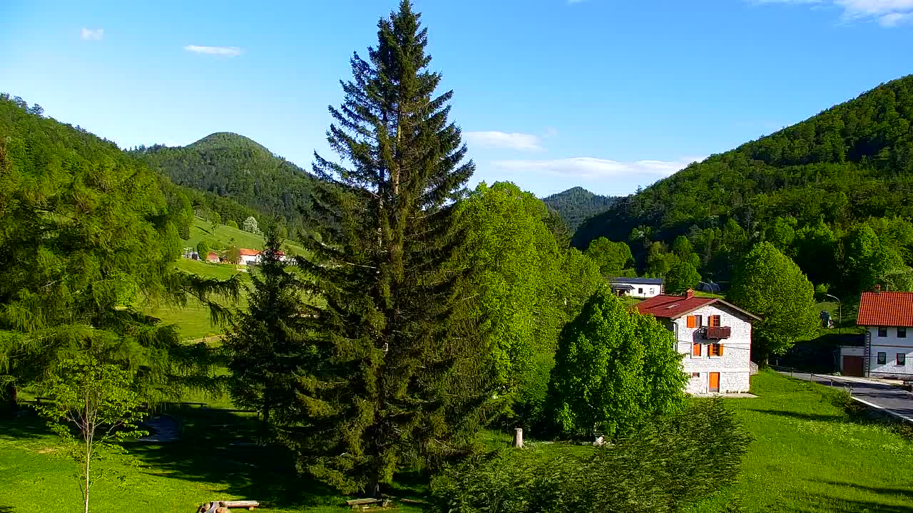 Webcam Loqua / Lokve – La bellezza della selva di Tarnova