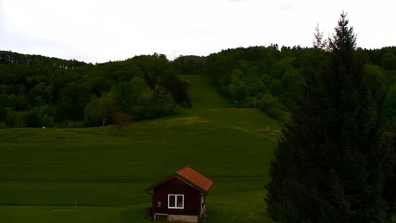 Webcam Loqua / Lokve – La bellezza della selva di Tarnova