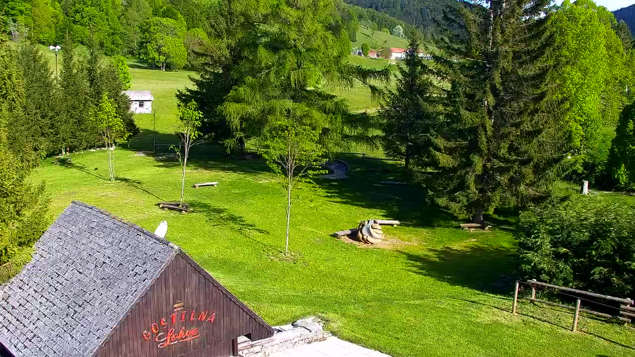 Webcam Lokve – La beauté de la forêt de Trnovo