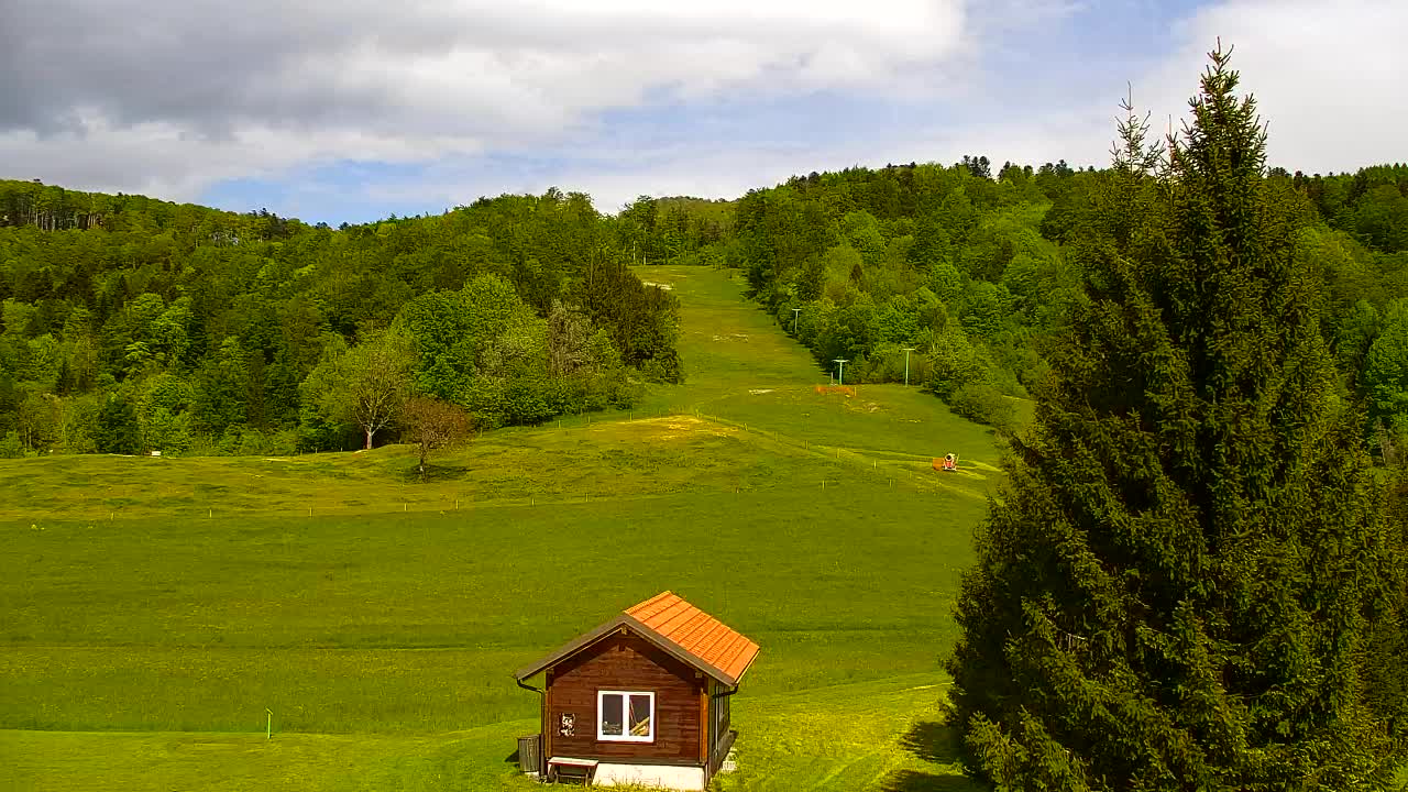 Webcam Loqua / Lokve – La bellezza della selva di Tarnova