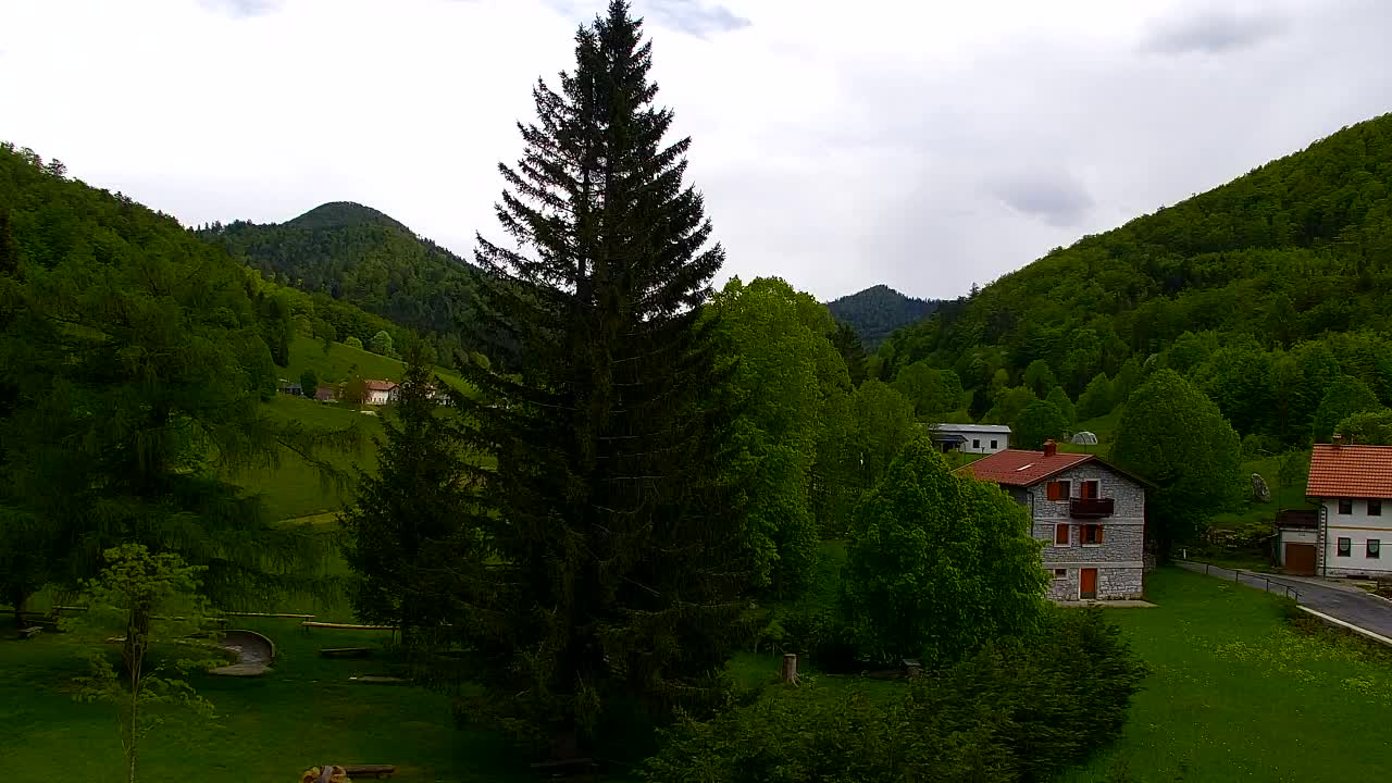 Webcam Loqua / Lokve – La bellezza della selva di Tarnova