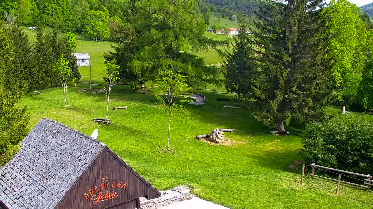 Webcam Loqua / Lokve – La bellezza della selva di Tarnova