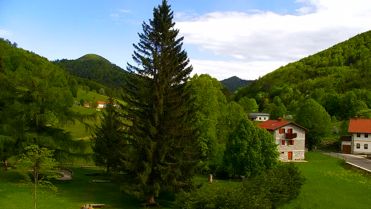 Webcam Lokve – La beauté de la forêt de Trnovo