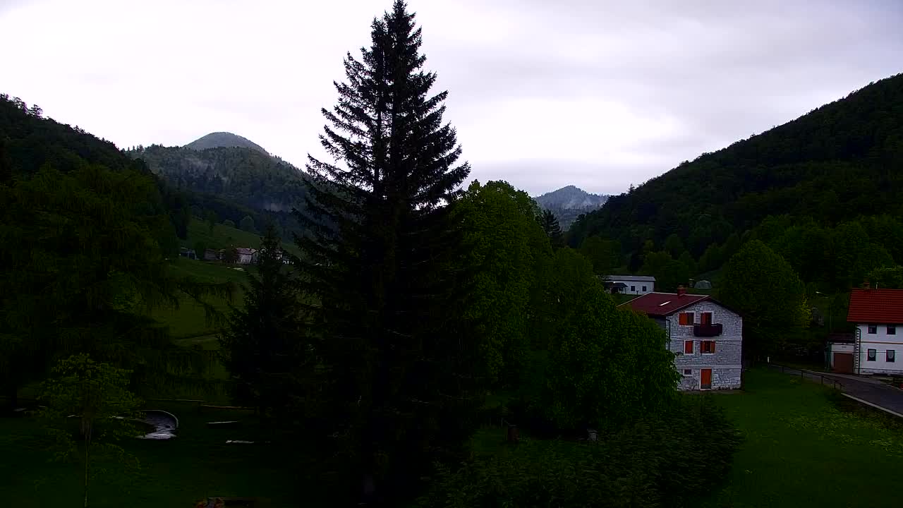 Webcam Lokve – Die Schönheit des Trnovo-Waldes