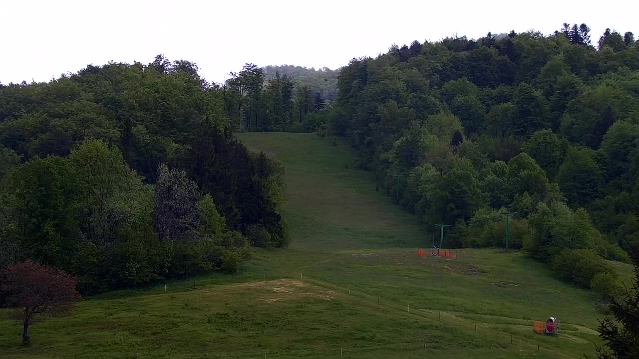 Webcam Lokve – La beauté de la forêt de Trnovo
