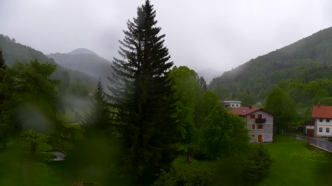 Webcam Loqua / Lokve – La bellezza della selva di Tarnova
