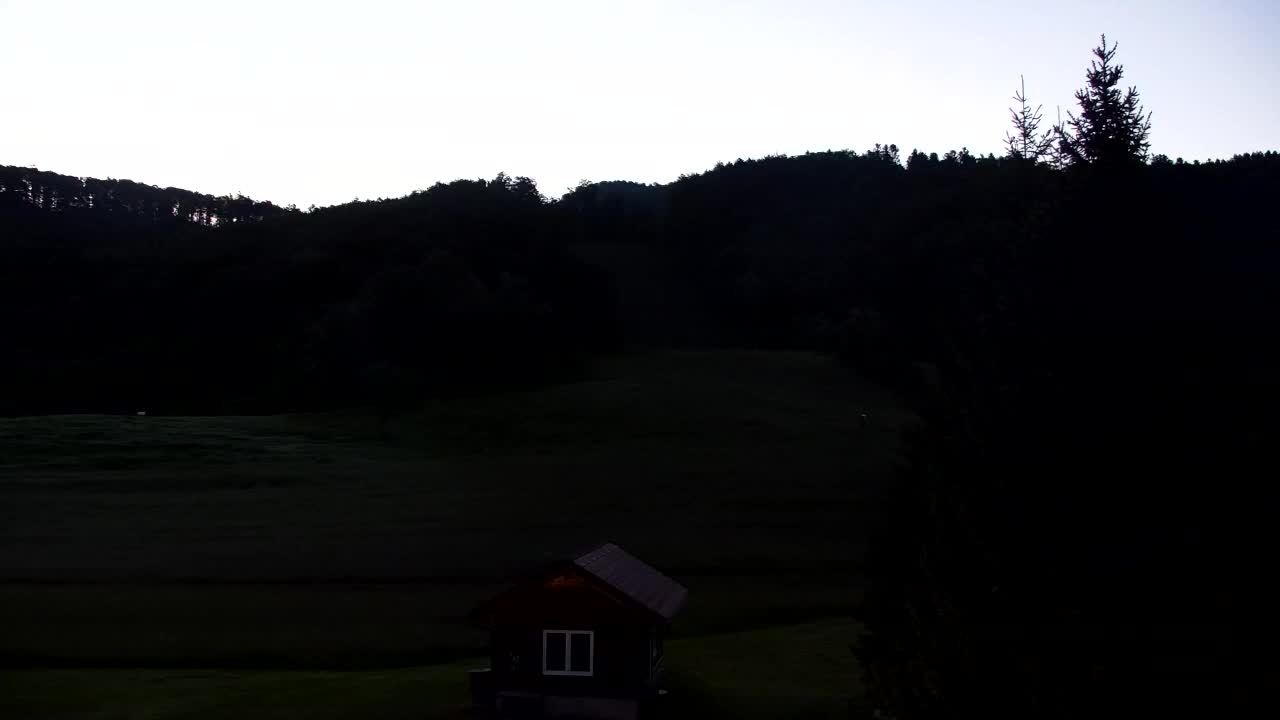 Webcam Loqua / Lokve – La bellezza della selva di Tarnova