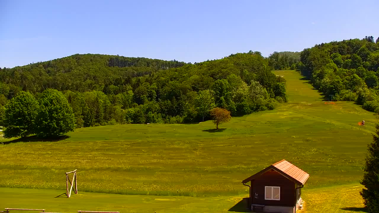 Webcam Lokve – The beauty of the Trnovo forest
