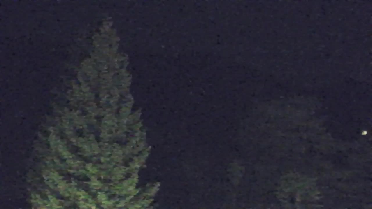 Webcam Lokve – The beauty of the Trnovo forest