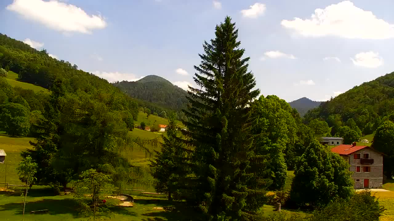 Webcam Lokve – The beauty of the Trnovo forest