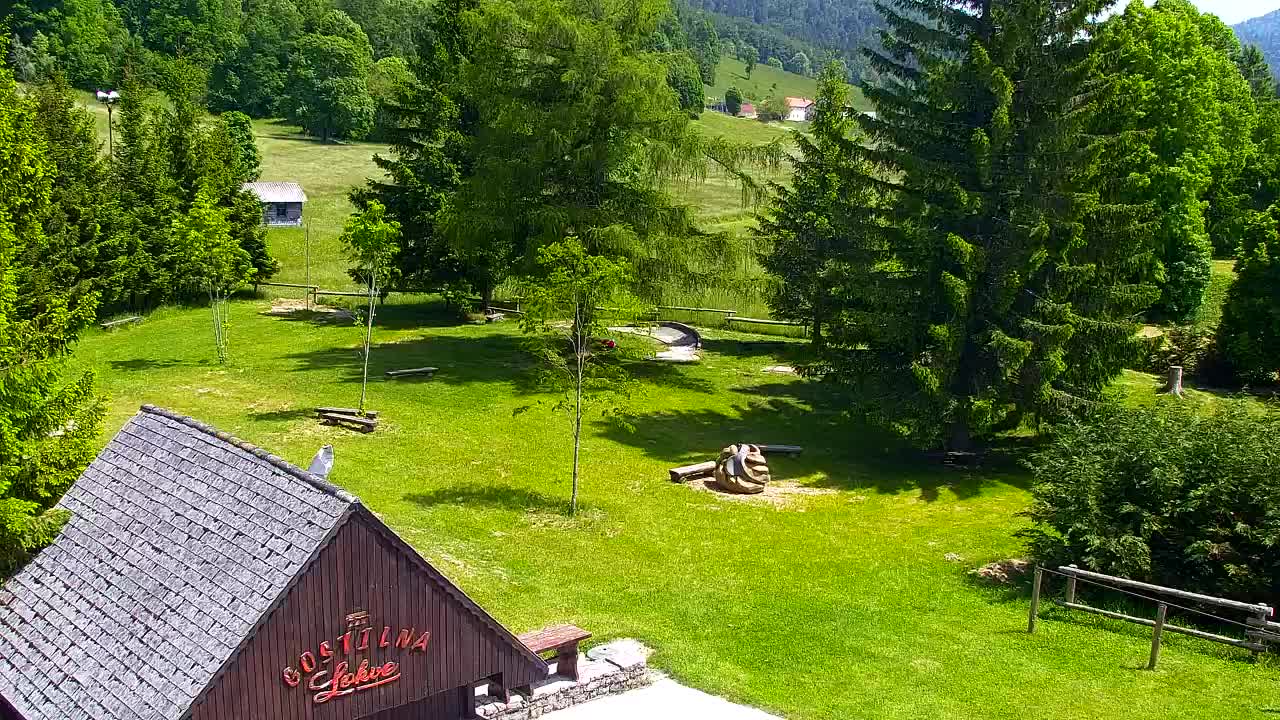 Webcam Loqua / Lokve – La bellezza della selva di Tarnova