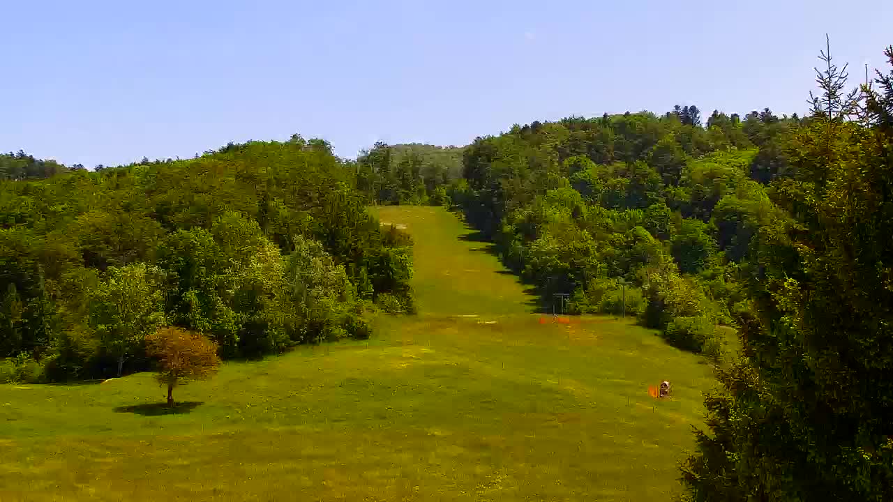 Camera en vivo Lokve – La belleza del bosque de Trnovo