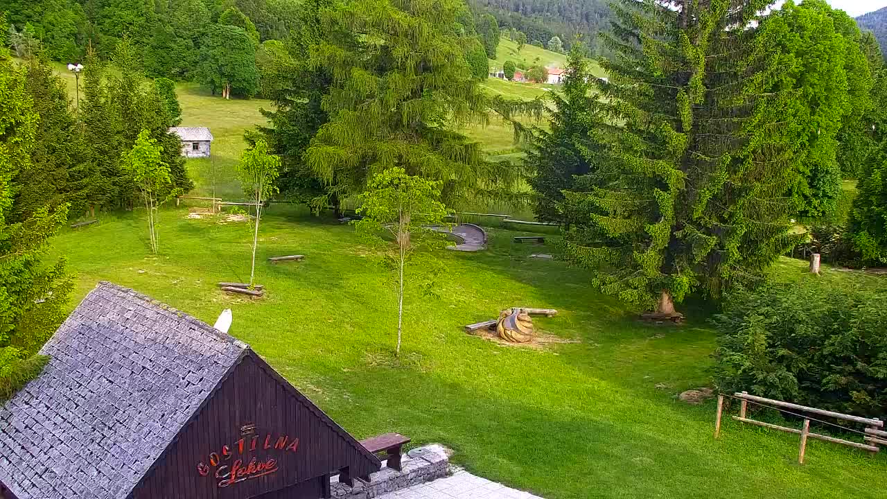 Webcam Lokve – The beauty of the Trnovo forest