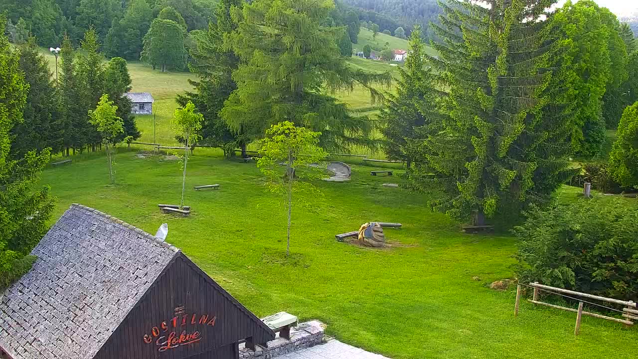 Webcam Lokve – The beauty of the Trnovo forest