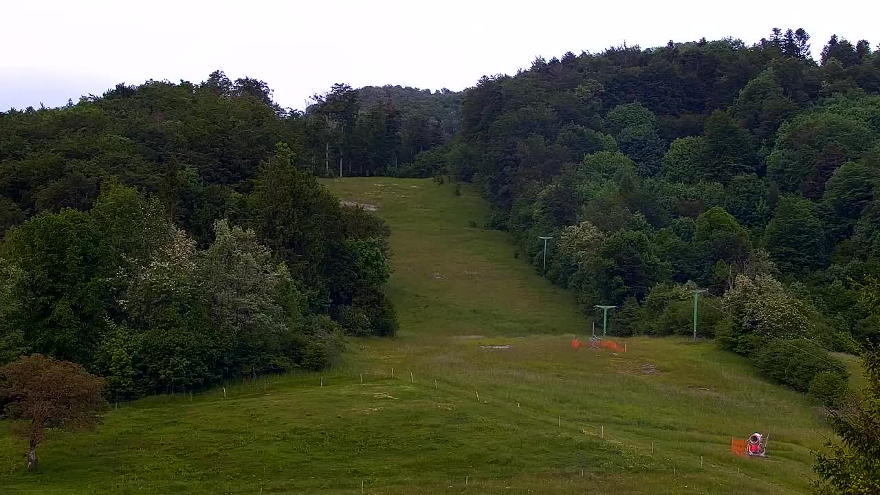 Webcam Lokve – The beauty of the Trnovo forest