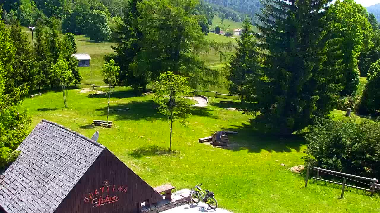 Webcam Lokve – The beauty of the Trnovo forest