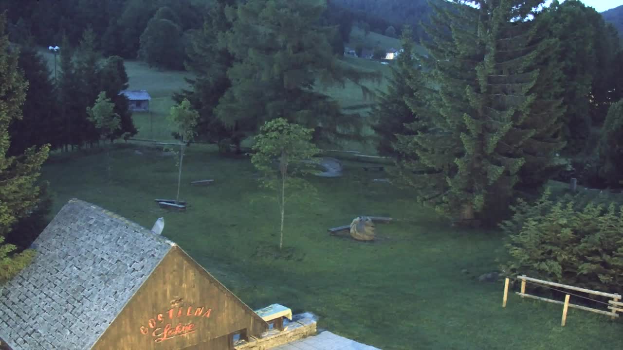 Webcam Lokve – The beauty of the Trnovo forest