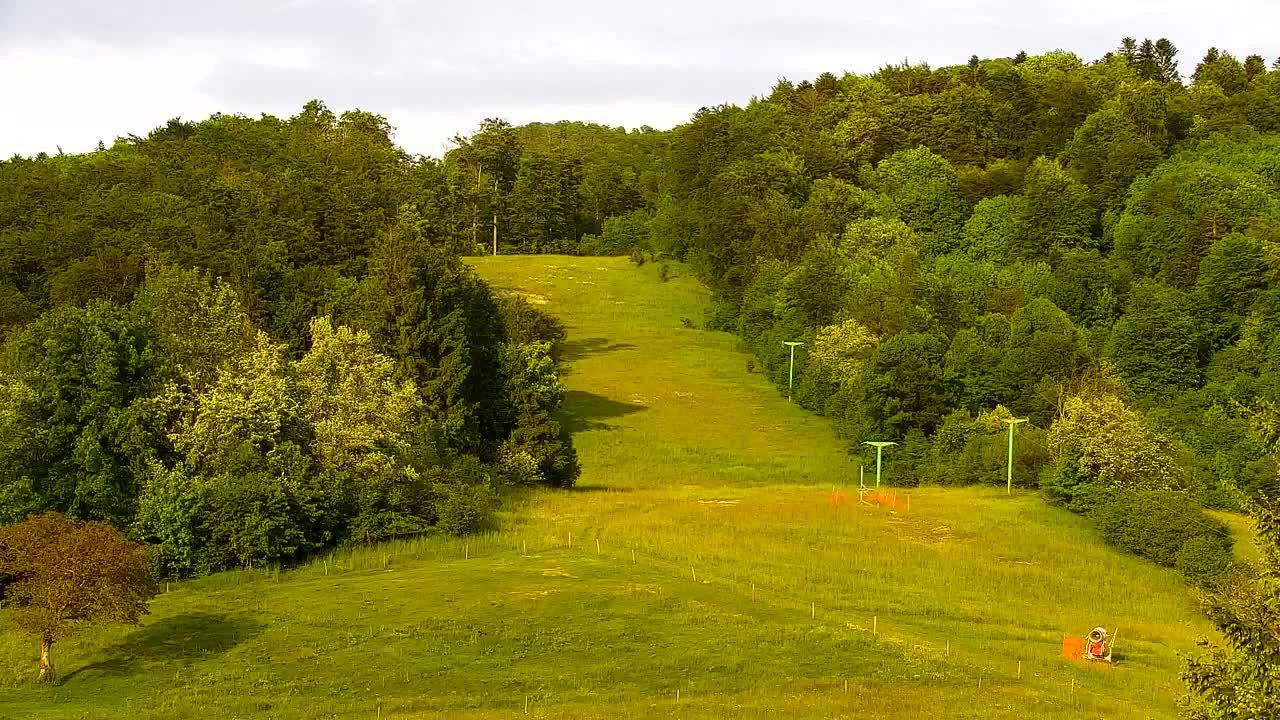 Webcam Lokve – The beauty of the Trnovo forest