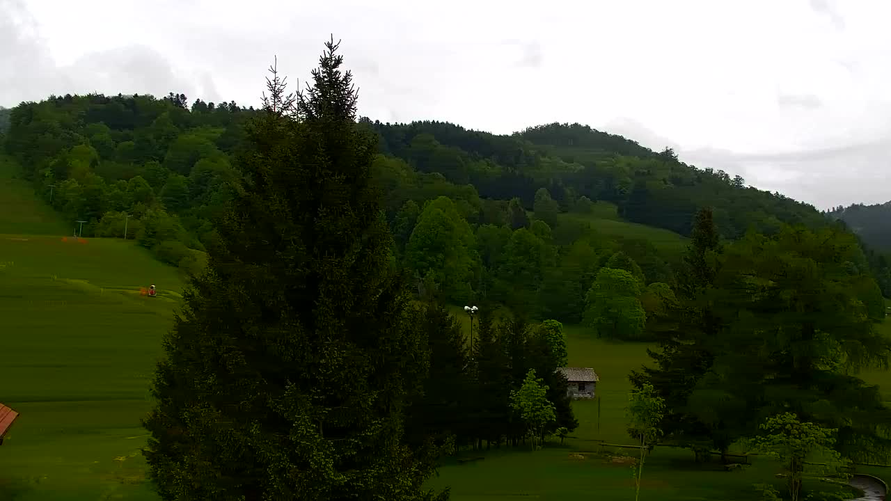 Webcam Lokve – The beauty of the Trnovo forest