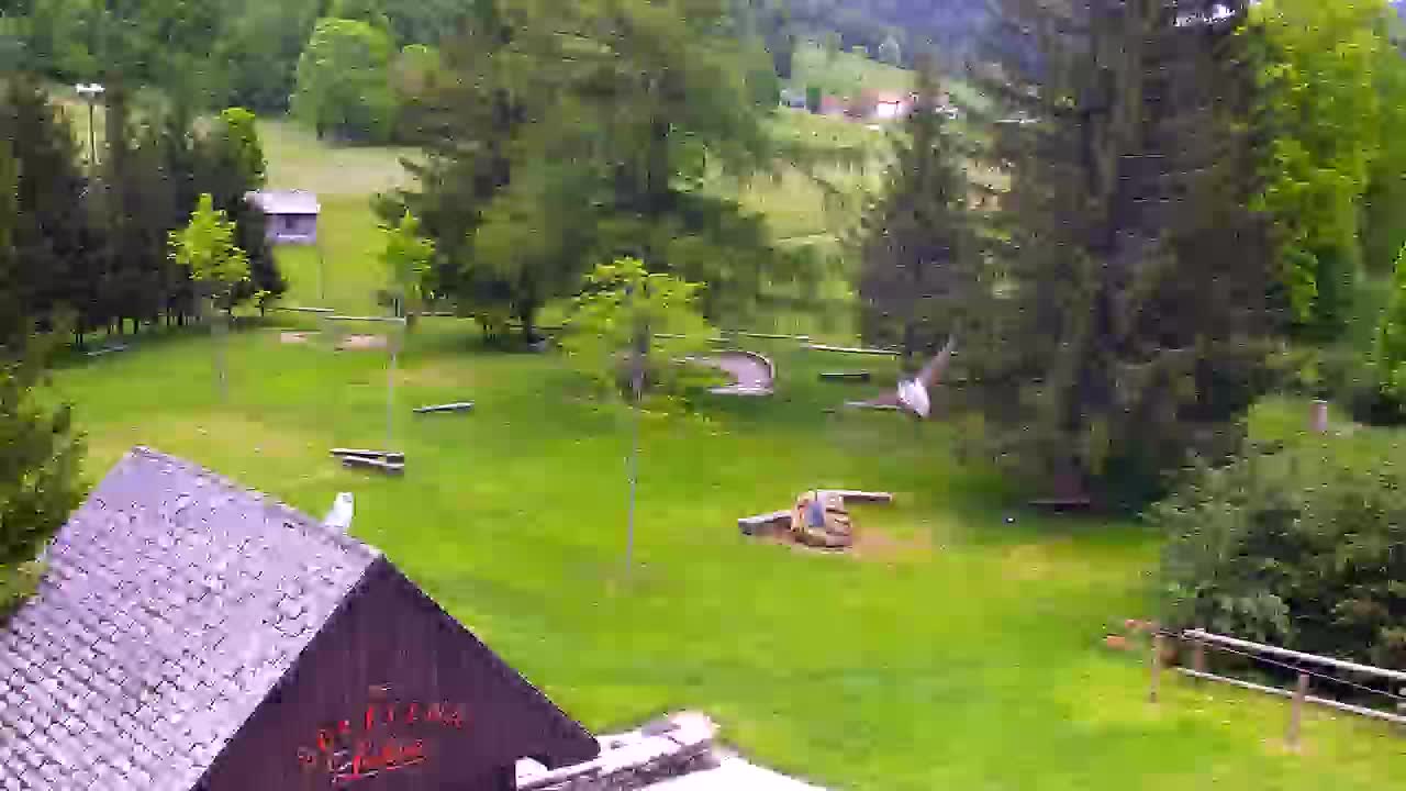 Webcam Loqua / Lokve – La bellezza della selva di Tarnova