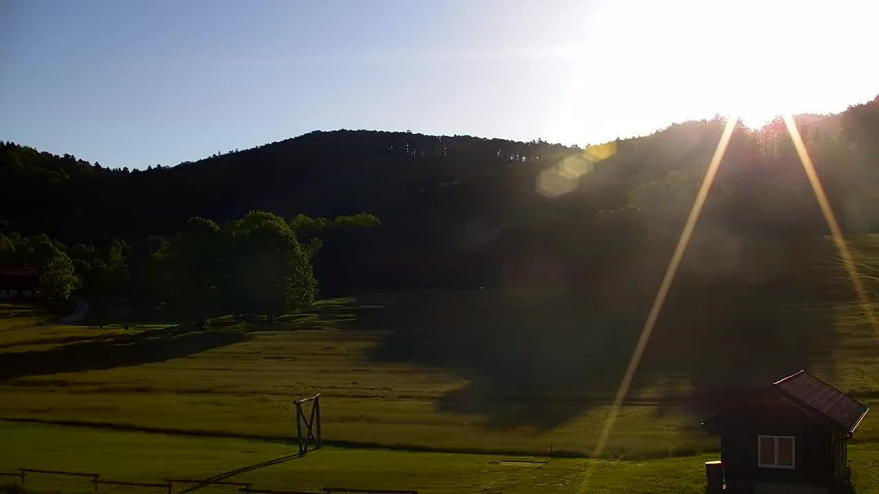 Webcam Loqua / Lokve – La bellezza della selva di Tarnova