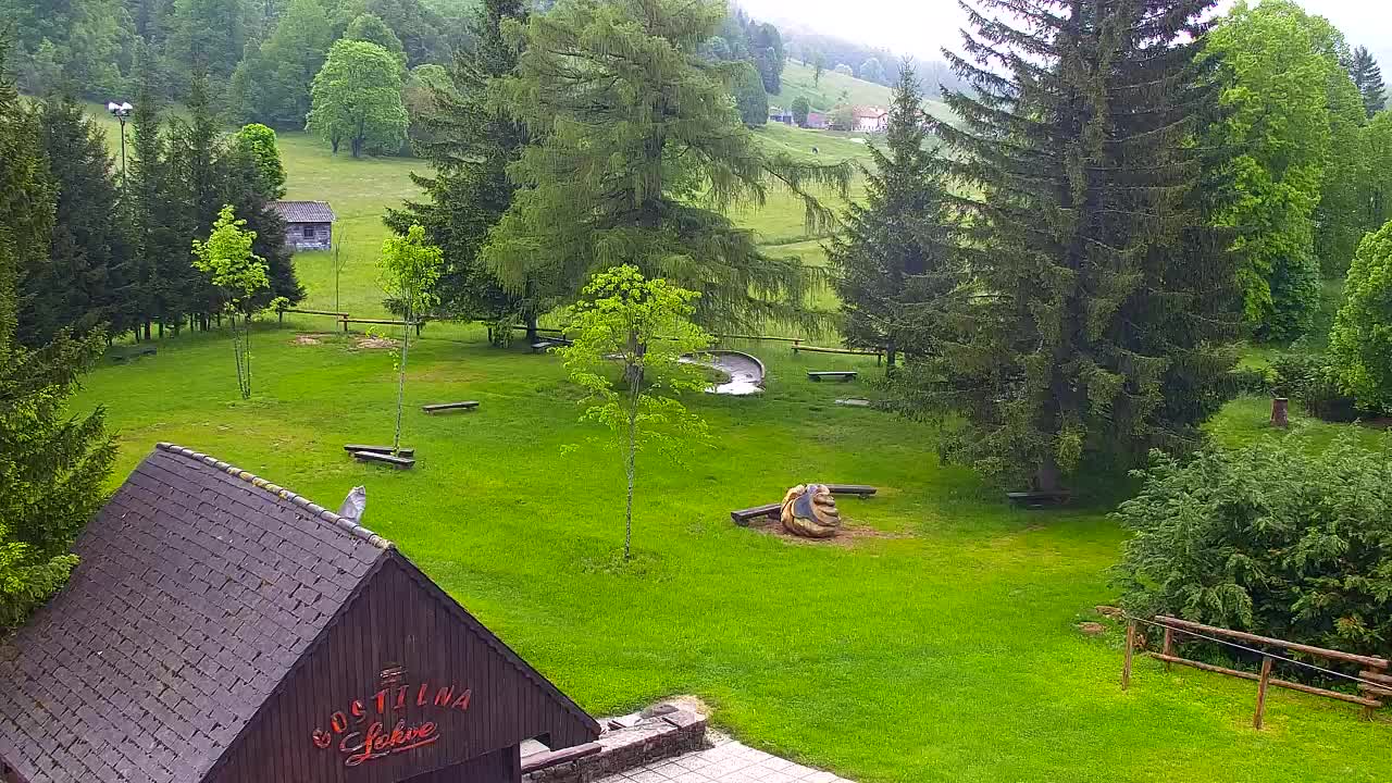 Webcam Loqua / Lokve – La bellezza della selva di Tarnova