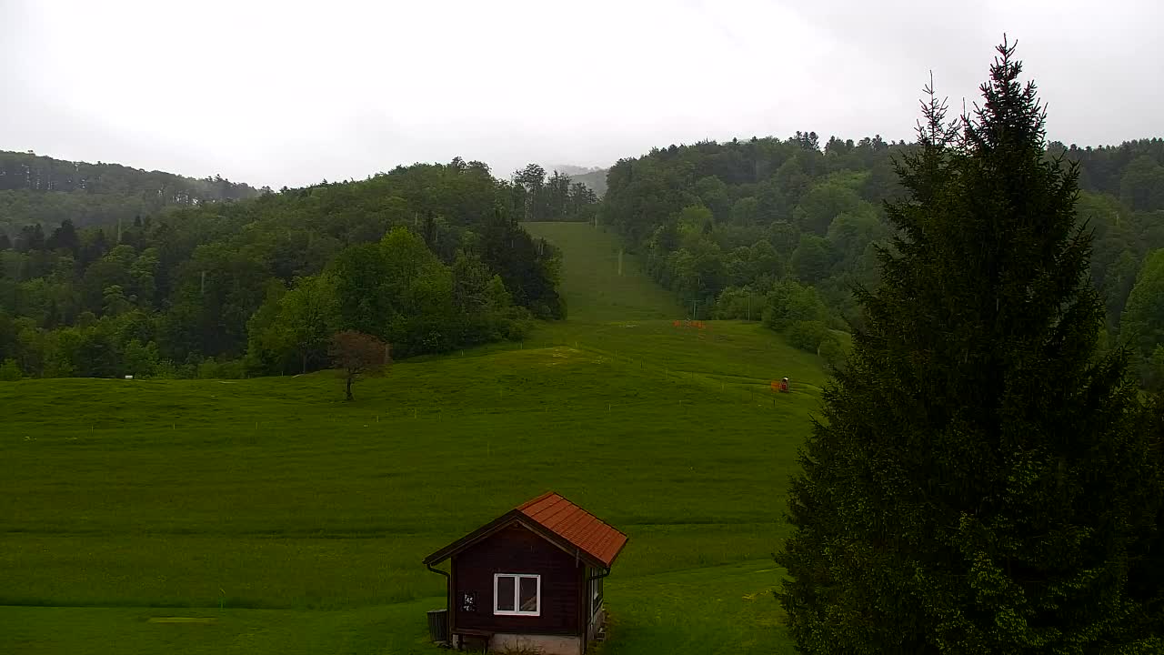 Webcam Loqua / Lokve – La bellezza della selva di Tarnova
