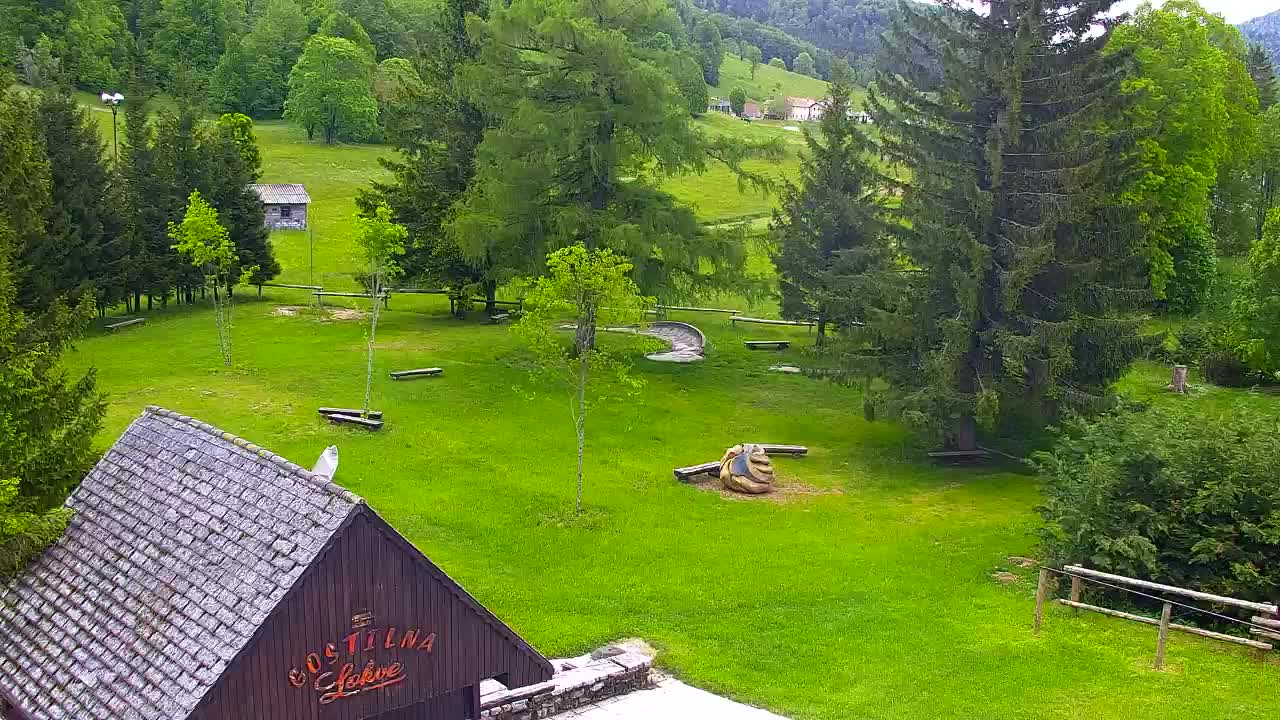 Camera en vivo Lokve – La belleza del bosque de Trnovo