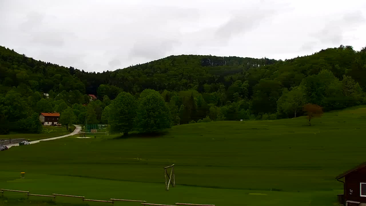 Webcam Lokve – The beauty of the Trnovo forest