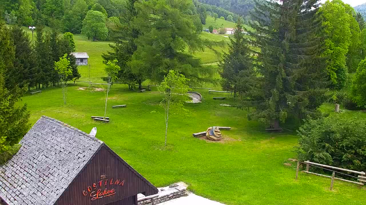 Webcam Lokve – Die Schönheit des Trnovo-Waldes