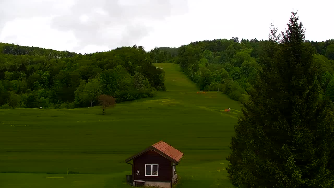 Webcam Lokve – The beauty of the Trnovo forest