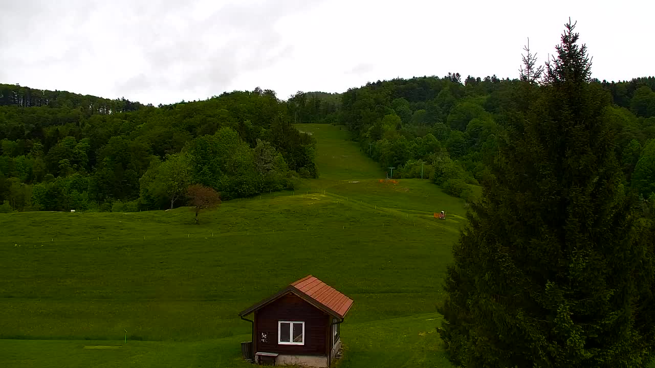 Webcam Lokve – The beauty of the Trnovo forest
