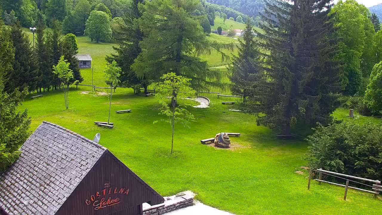 Camera en vivo Lokve – La belleza del bosque de Trnovo