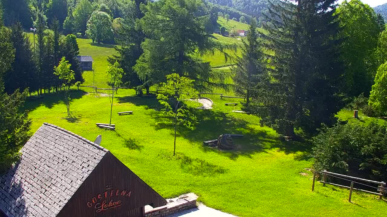 Webcam Loqua / Lokve – La bellezza della selva di Tarnova
