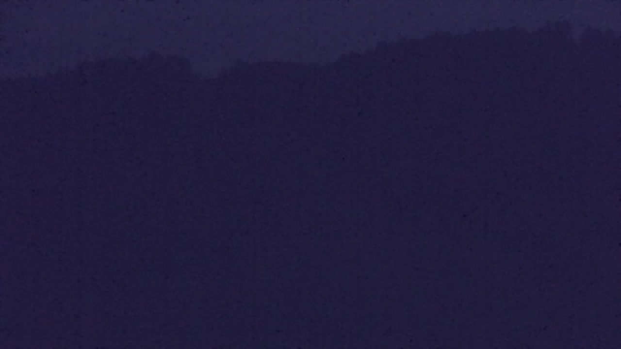 Webcam Lokve – The beauty of the Trnovo forest
