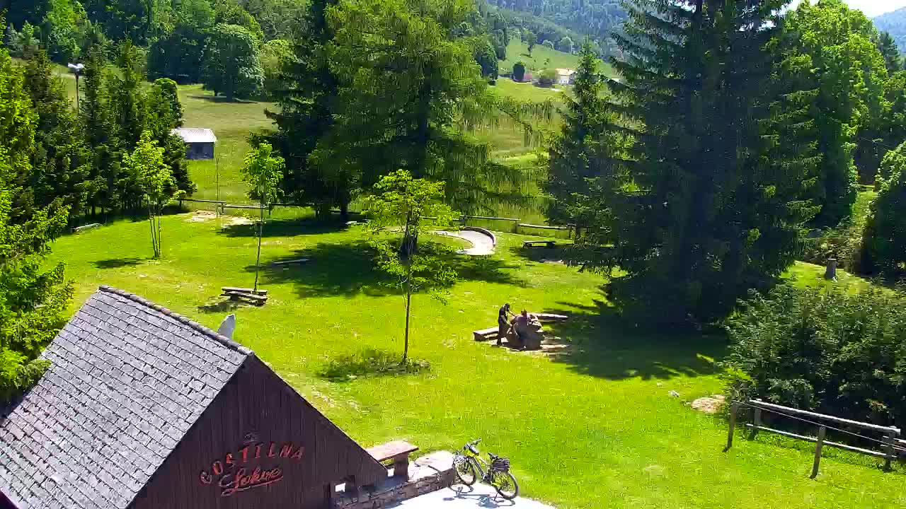 Webcam Loqua / Lokve – La bellezza della selva di Tarnova