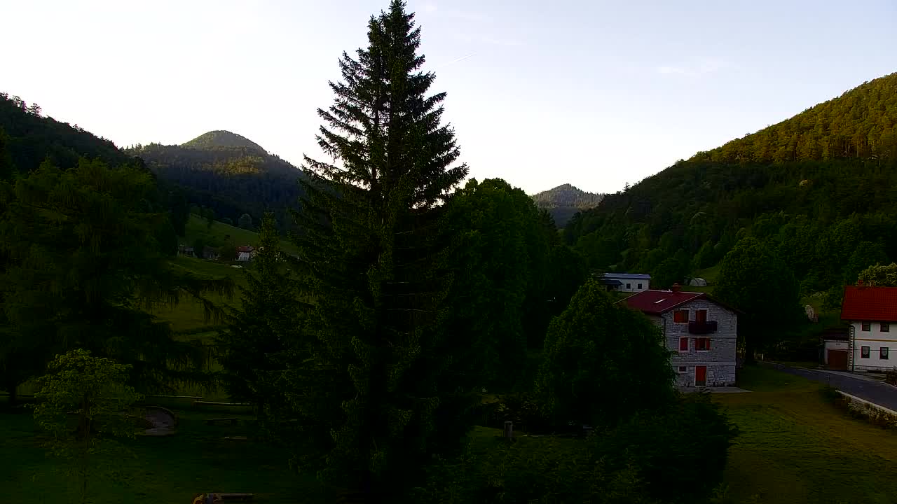 Webcam Lokve – The beauty of the Trnovo forest