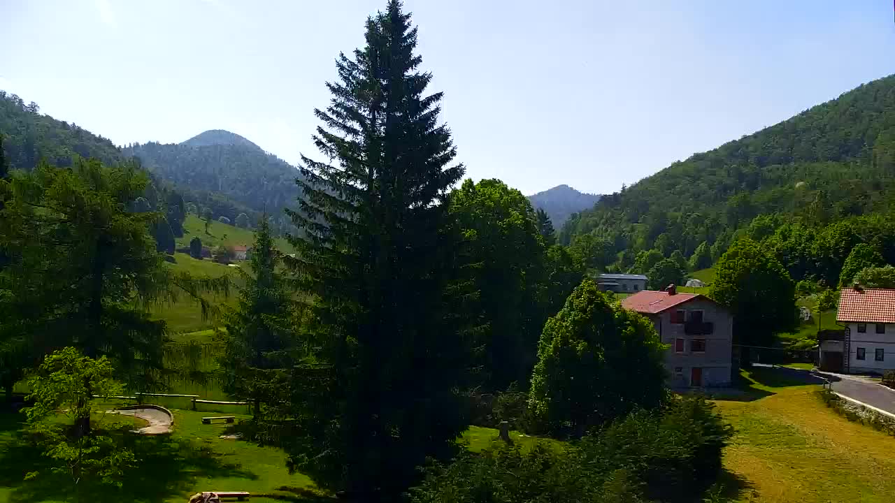 Webcam Lokve – La beauté de la forêt de Trnovo