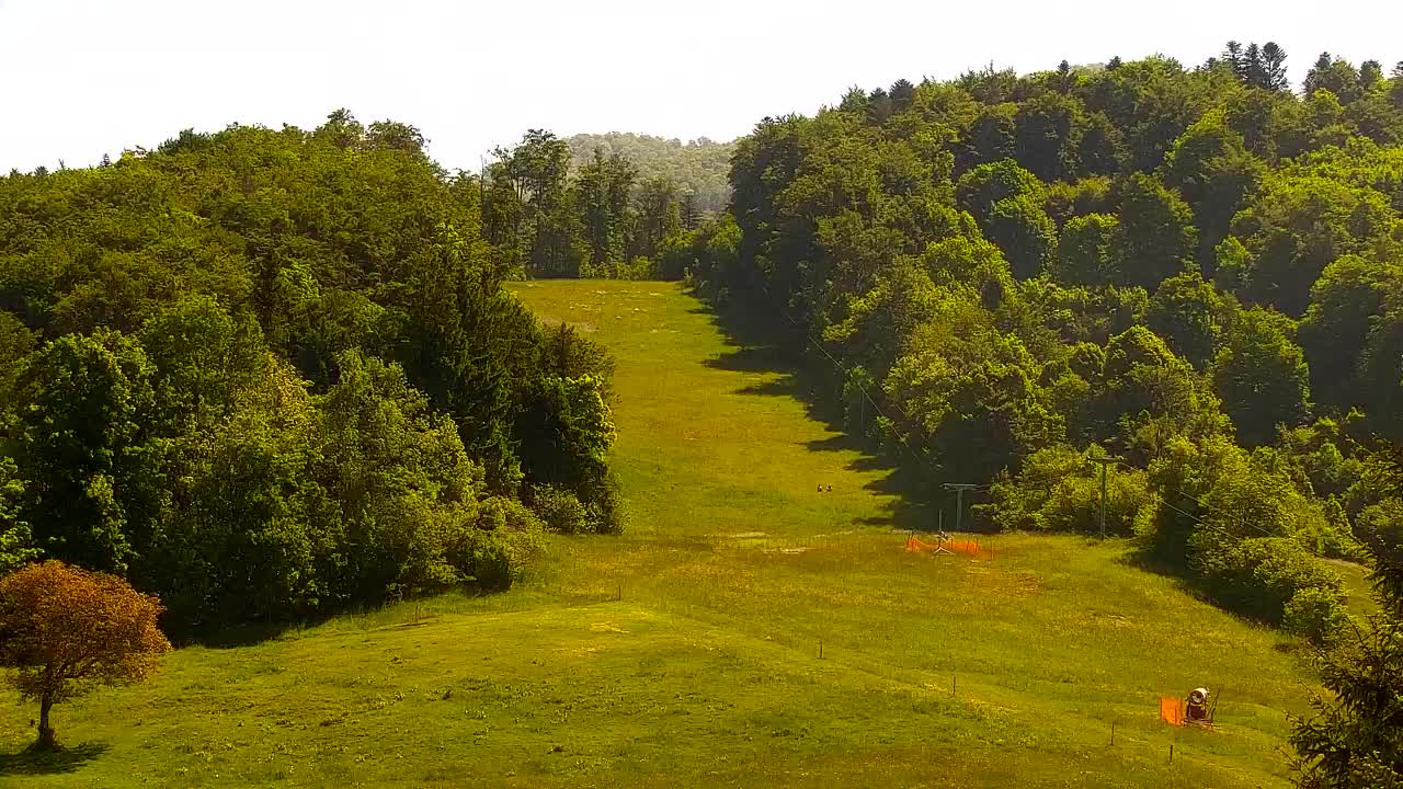 Webcam Lokve – The beauty of the Trnovo forest