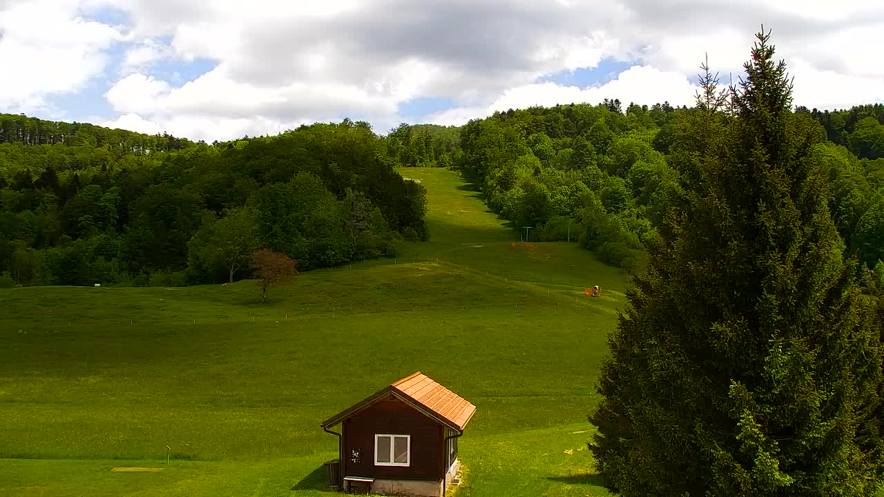 Webcam Lokve – Die Schönheit des Trnovo-Waldes