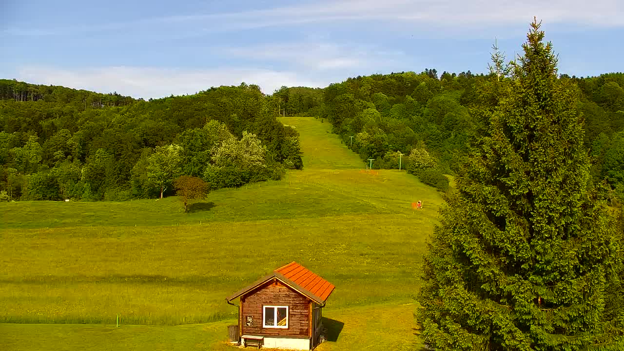 Camera en vivo Lokve – La belleza del bosque de Trnovo