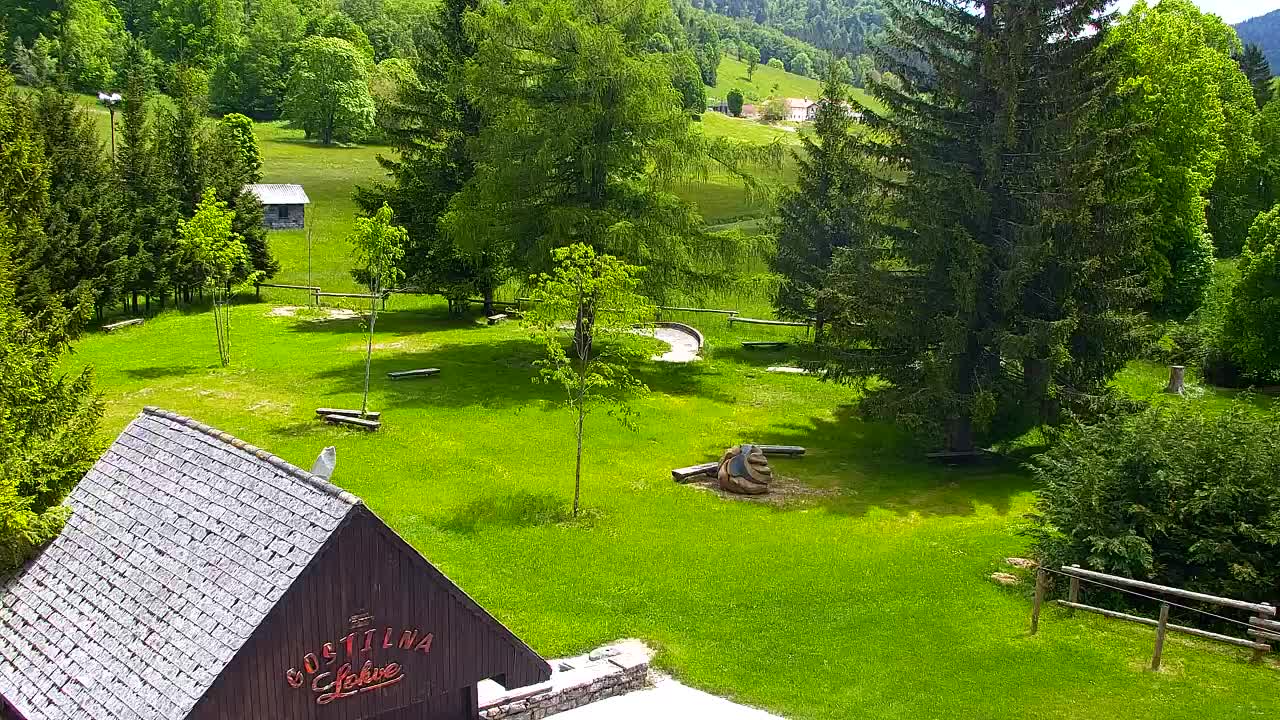 Webcam Lokve – Die Schönheit des Trnovo-Waldes