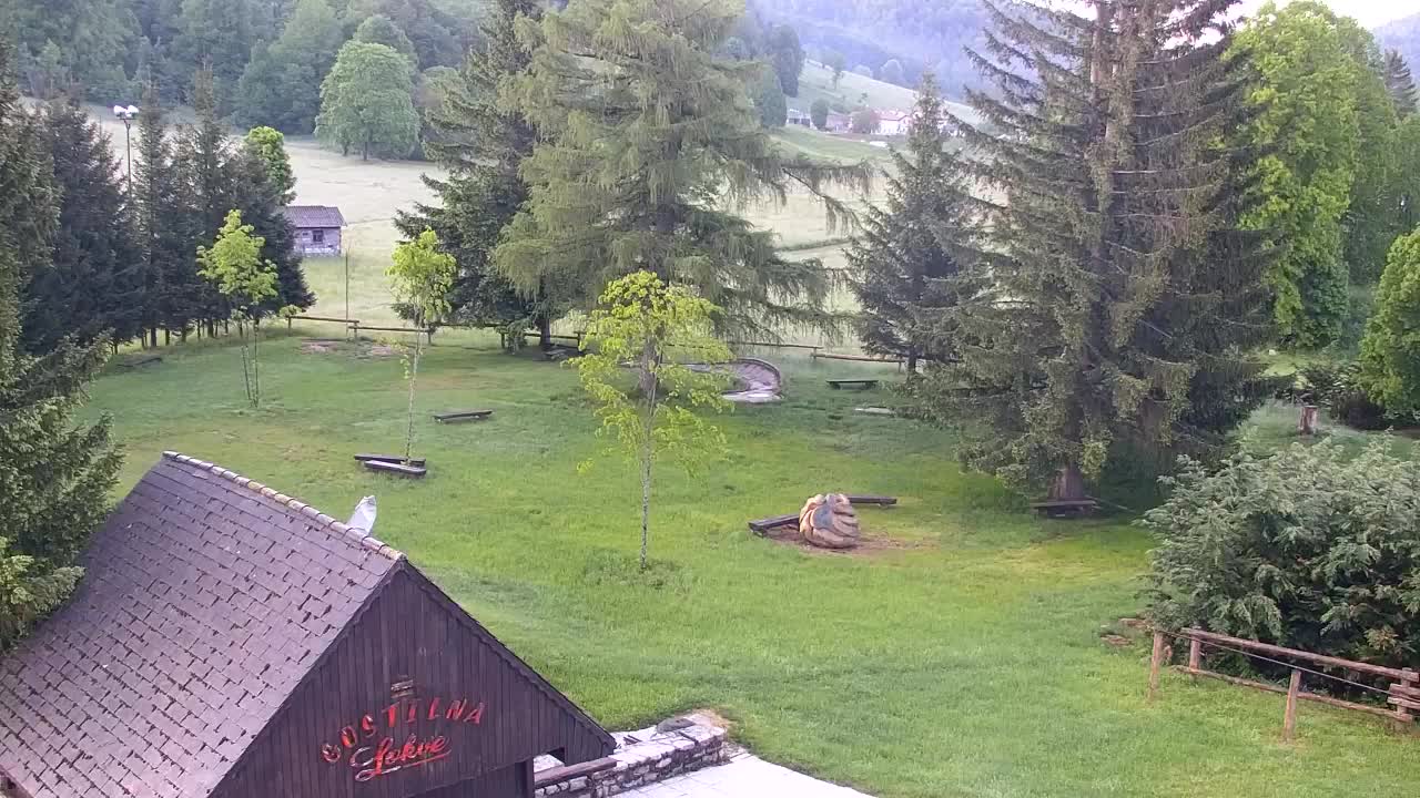 Webcam Lokve – Die Schönheit des Trnovo-Waldes