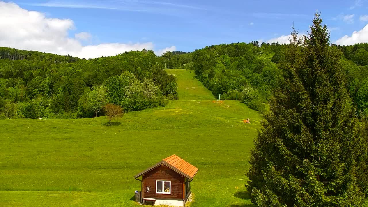 Camera en vivo Lokve – La belleza del bosque de Trnovo