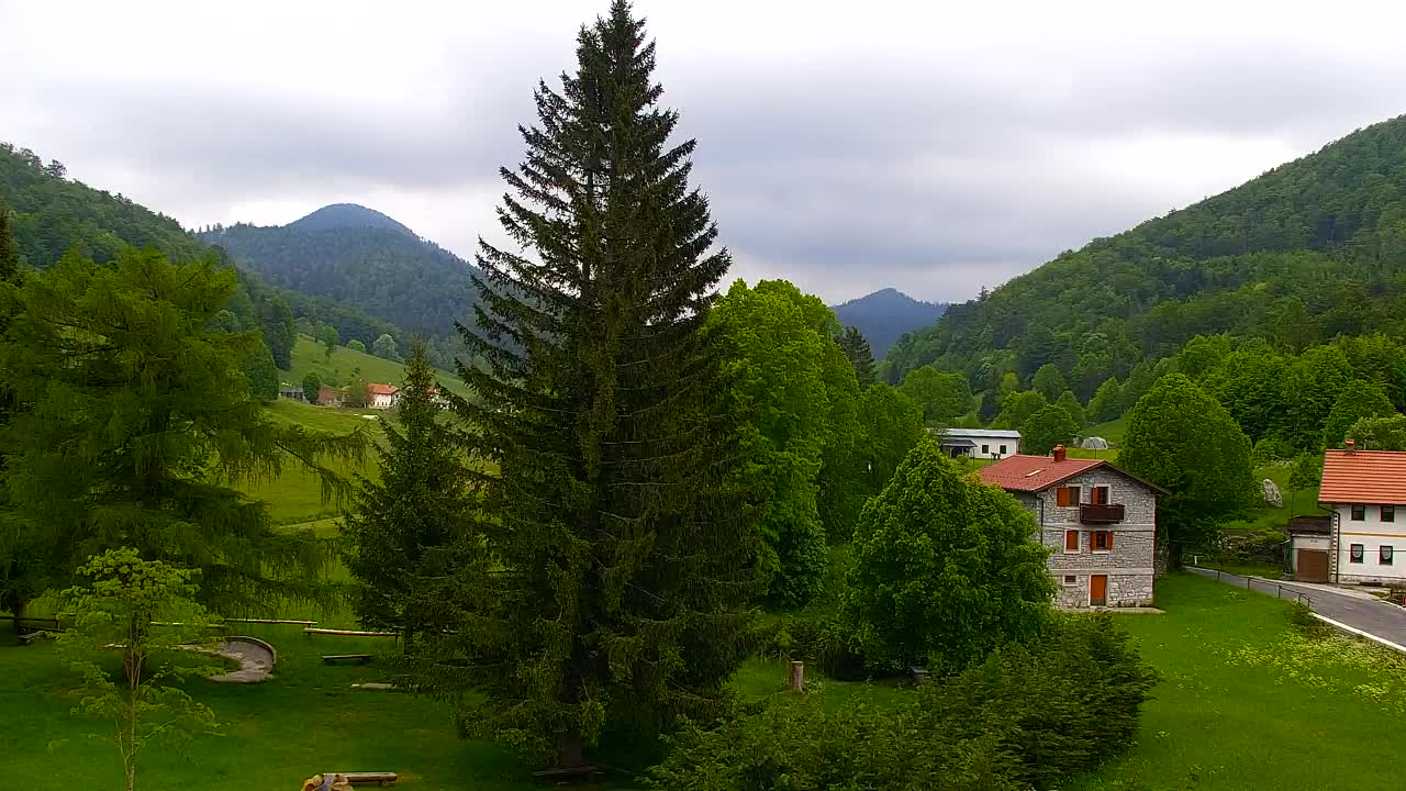 Camera en vivo Lokve – La belleza del bosque de Trnovo
