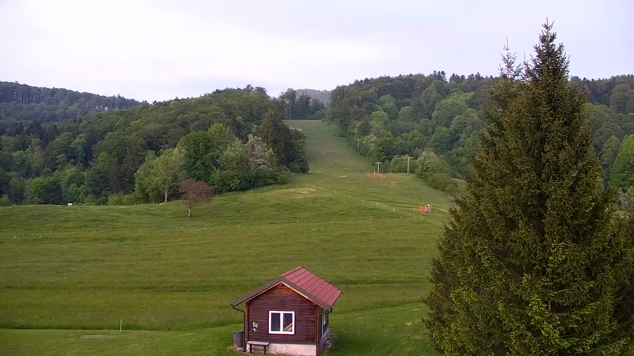 Camera en vivo Lokve – La belleza del bosque de Trnovo