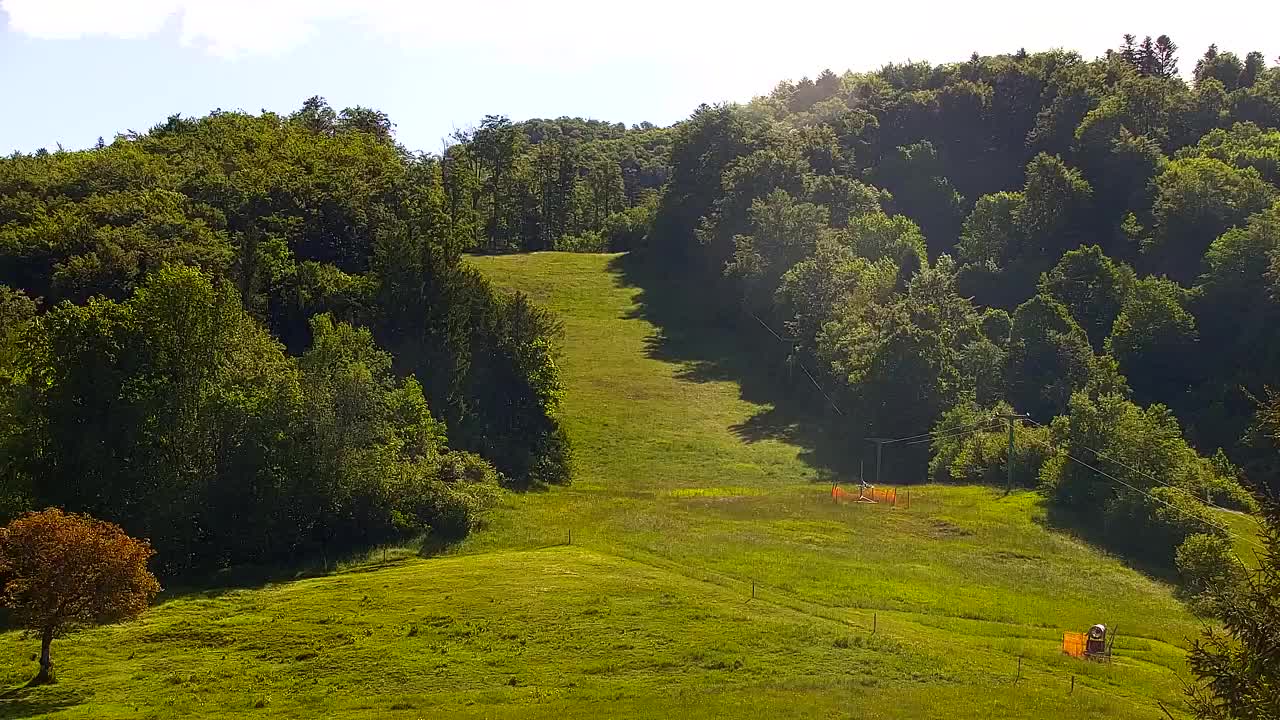 Webcam Lokve – La beauté de la forêt de Trnovo